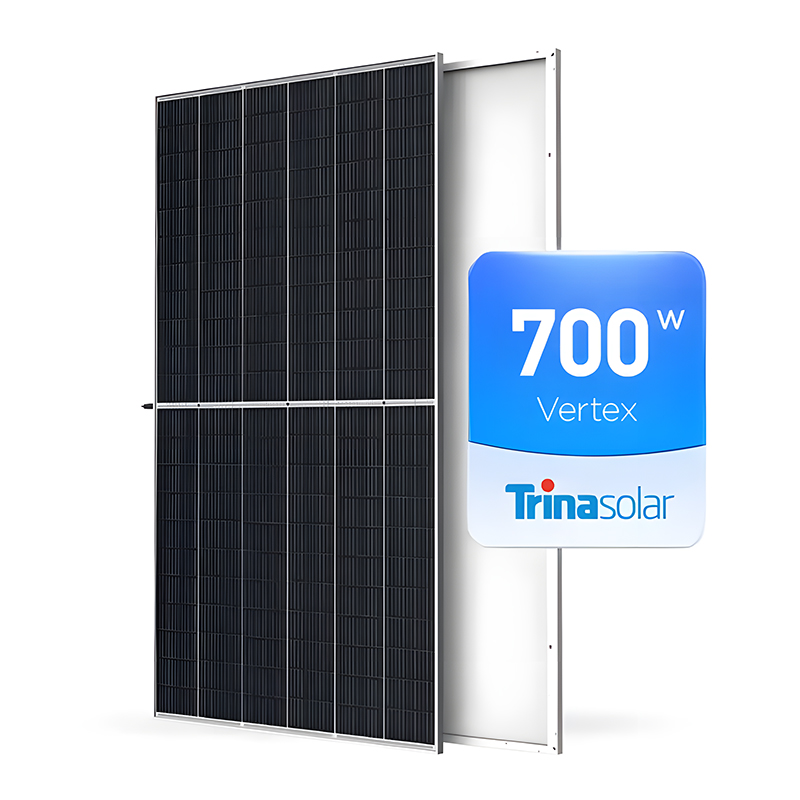 700W Trian Bifacial Solar Panel